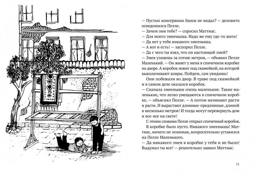 Лето Маттиаса фото книги 4