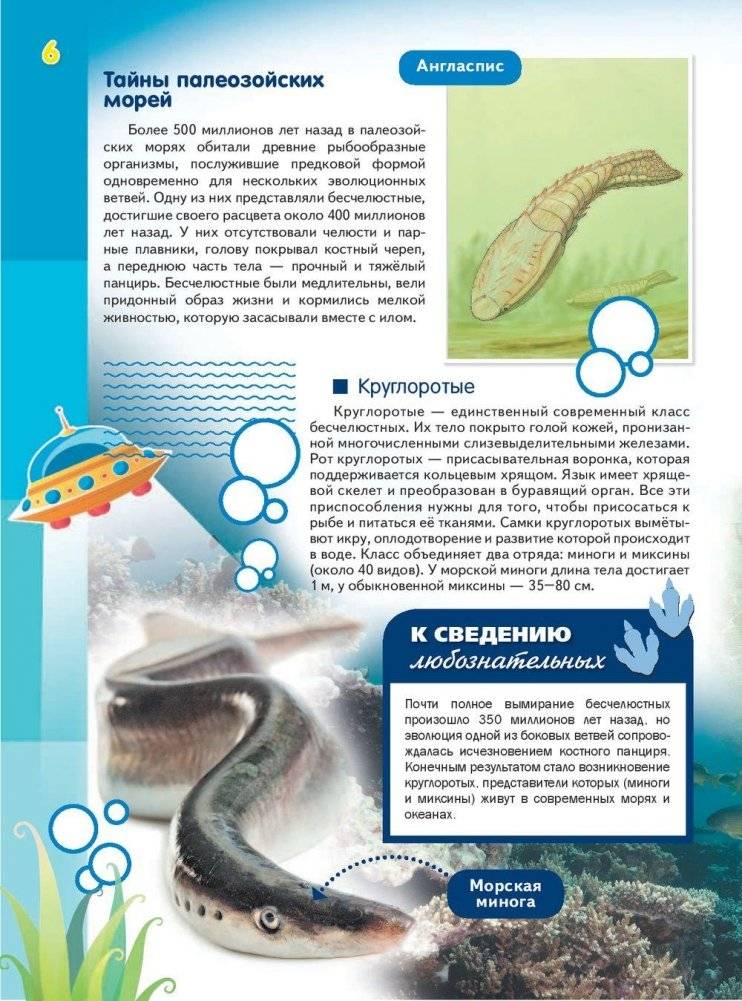 Эра динозавров фото книги 7