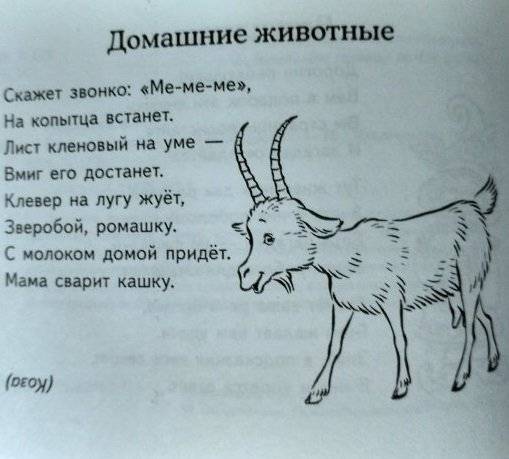 Загадки о животных фото книги 6