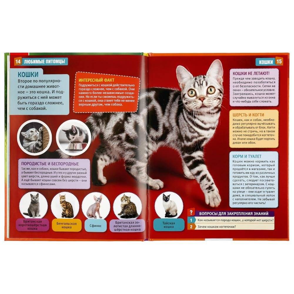 Энциклопедия. Любимые питомцы фото книги 4