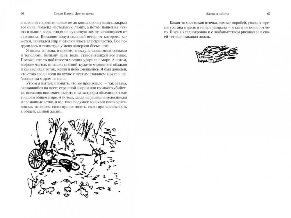 Другие цвета фото книги 4