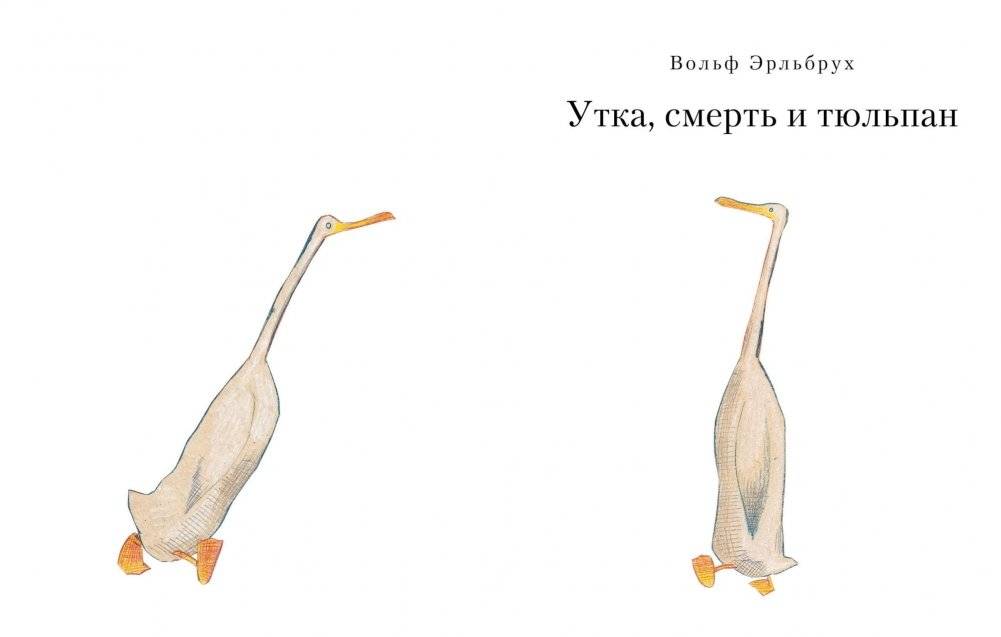 Утка, Смерть и Тюльпан фото книги 5