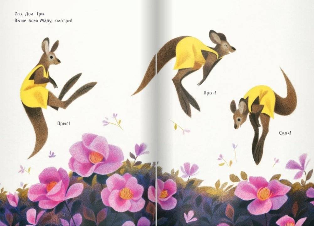 Кенгуру Малу фото книги 2