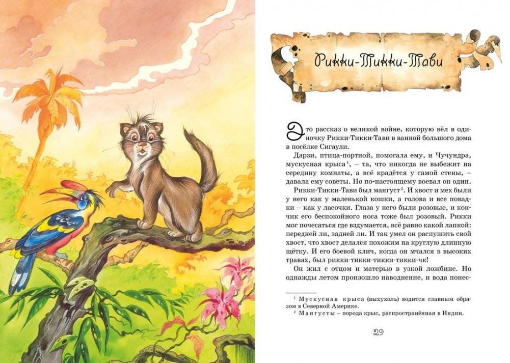 Сказки фото книги 6