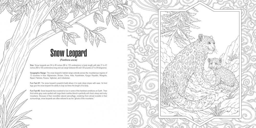 Cats: a Smithsonian Coloring Book фото книги 4