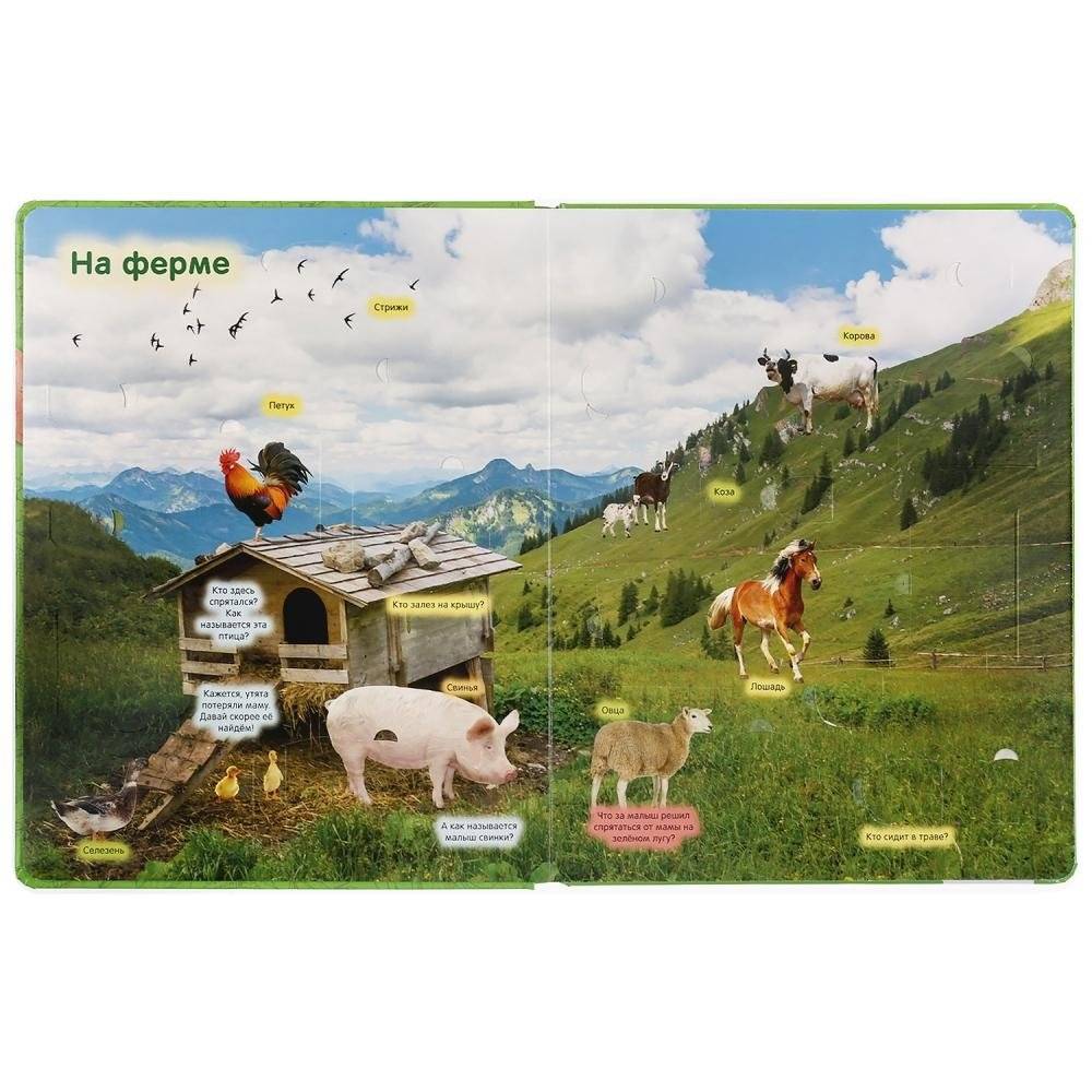 Животные фото книги 3