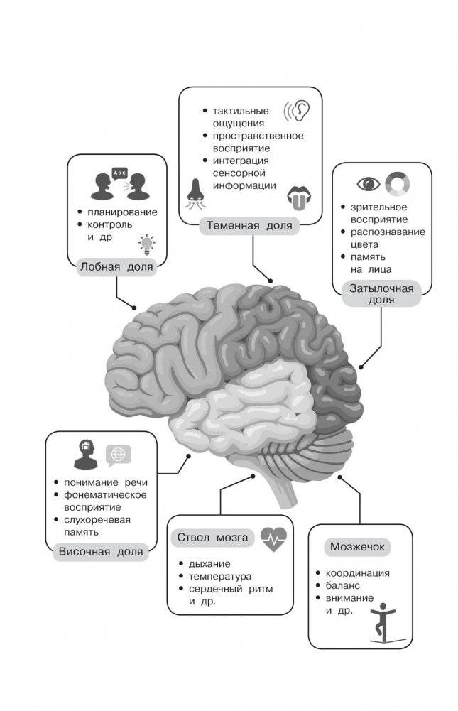 500 ответов нейропсихолога фото книги 5