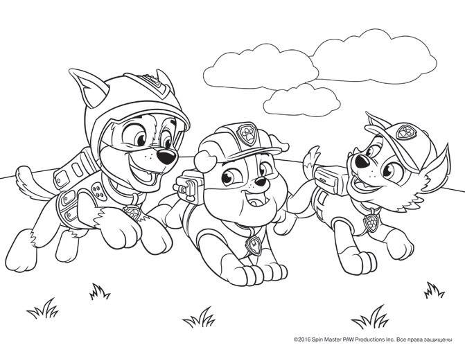 Щенячий патруль. Альбом для рисования с образцами для раскрашивания фото книги 2