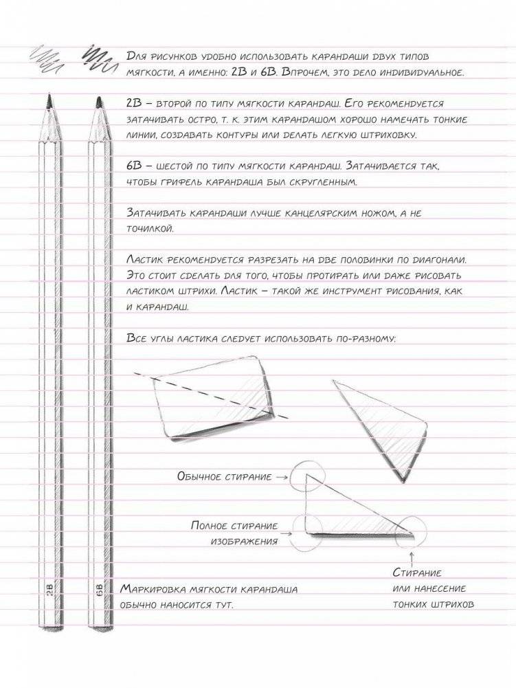 Животные. Sketchbook фото книги 5