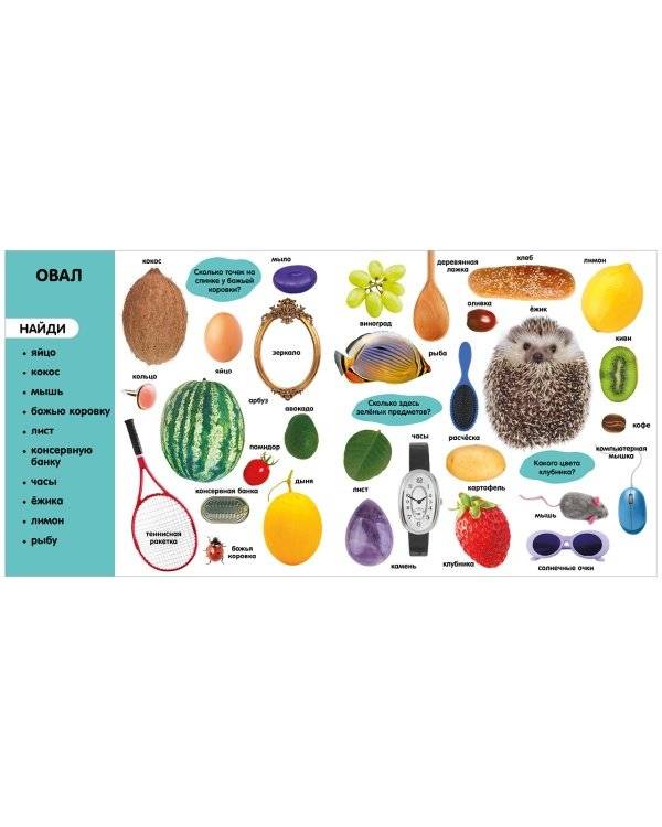 Фотокнига. Формы фото книги 7