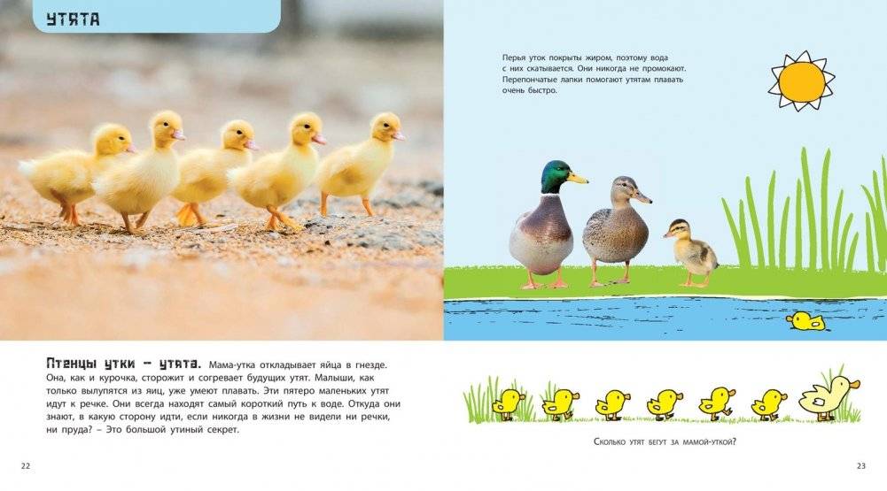 Это мой малыш! Детёныши разных животных фото книги 5