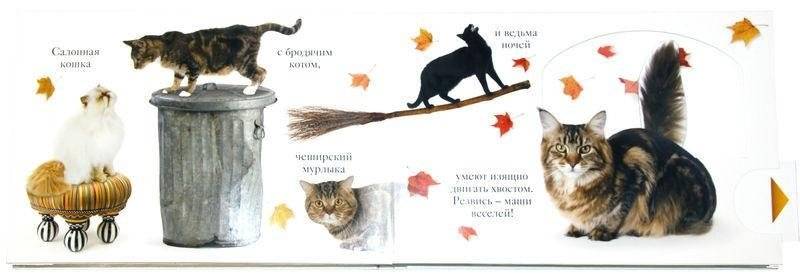 Мяу фото книги 2