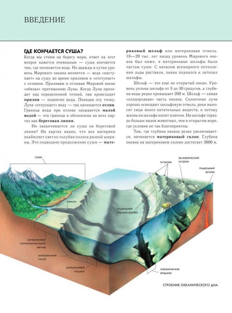 Подводный мир. Полная энциклопедия фото книги 7