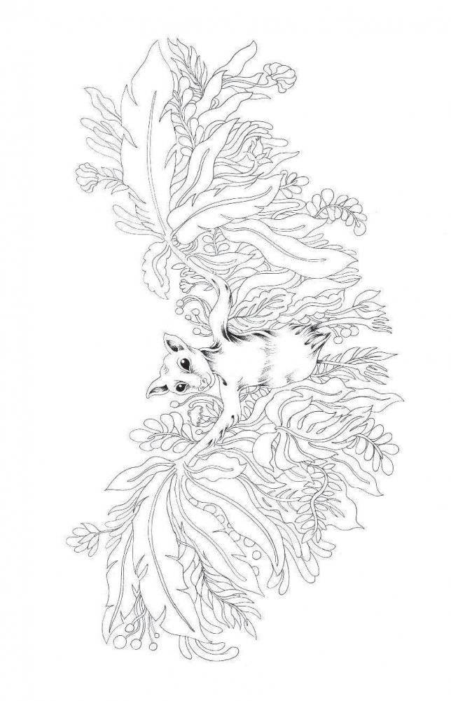 Метаморфозы. Мини-раскраска-антистресс для творчества и вдохновения фото книги 6