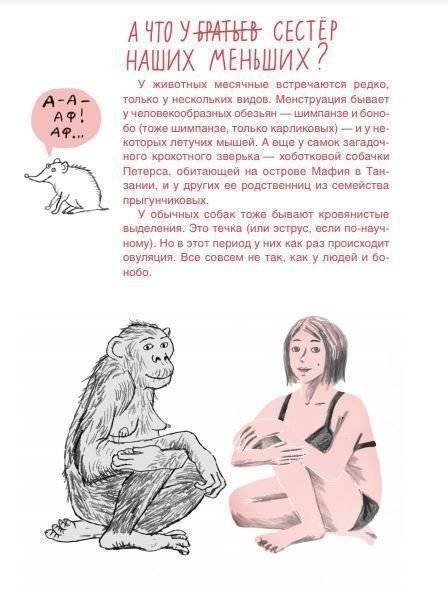 Месячные: твое личное приключение! фото книги 6