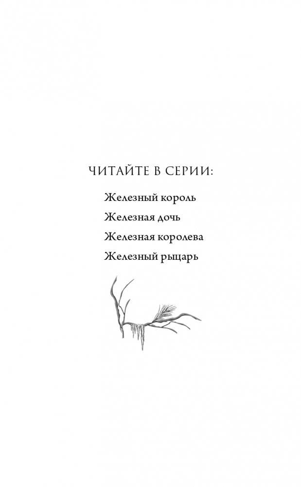 Железный рыцарь (#4) фото книги 3