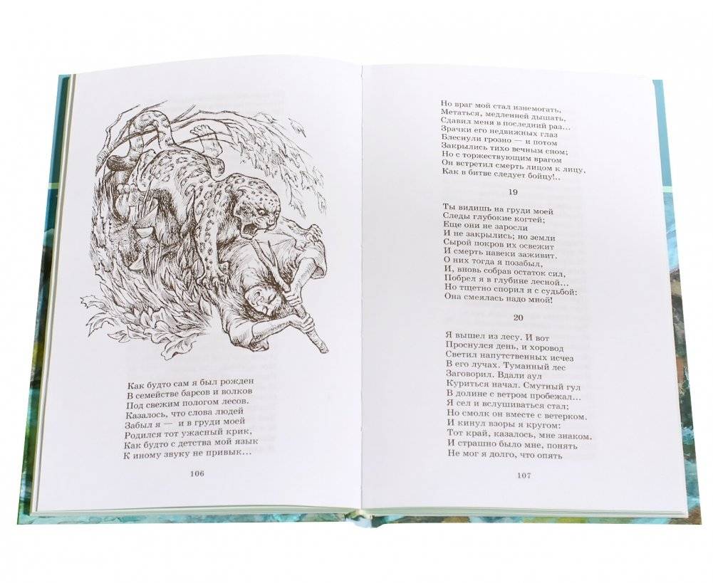 Поэмы фото книги 4