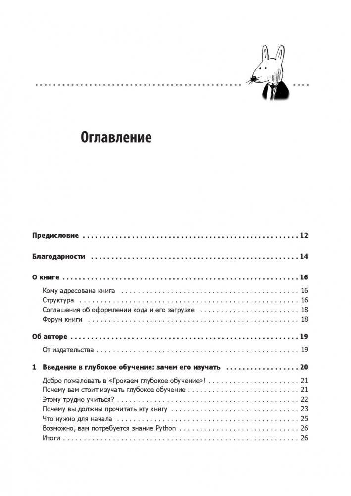 Грокаем глубокое обучение фото книги 9