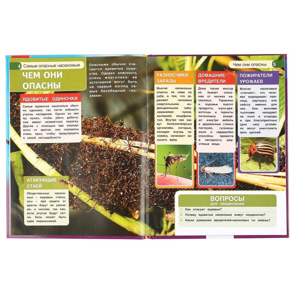 Самые опасные насекомые. Энциклопедия с развивающими заданиями фото книги 3