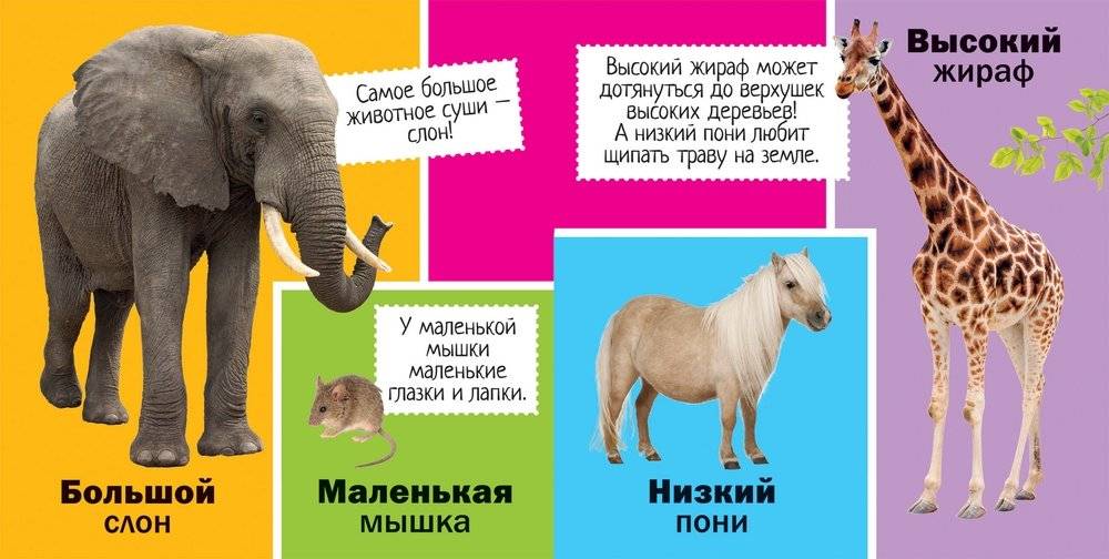 Противоположности фото книги 2