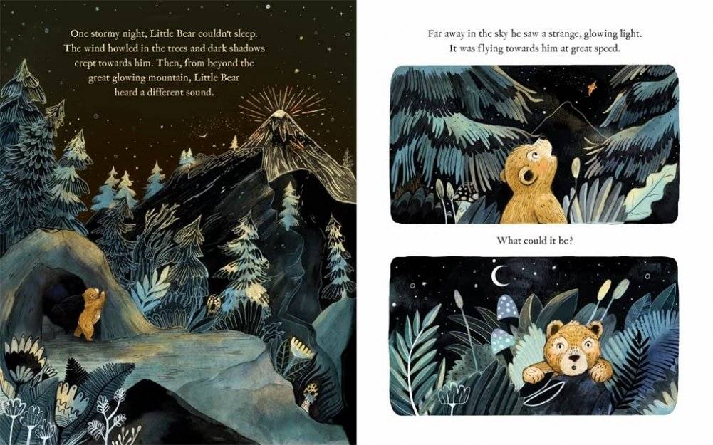 Magic Feather фото книги 4