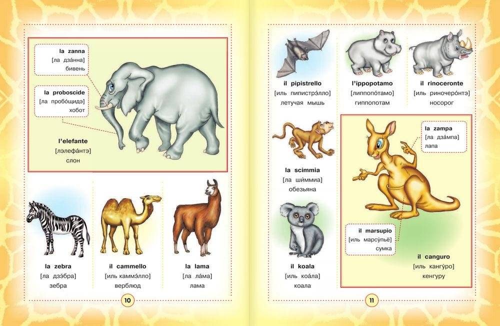Итальянско-русский визуальный словарь для детей фото книги 7