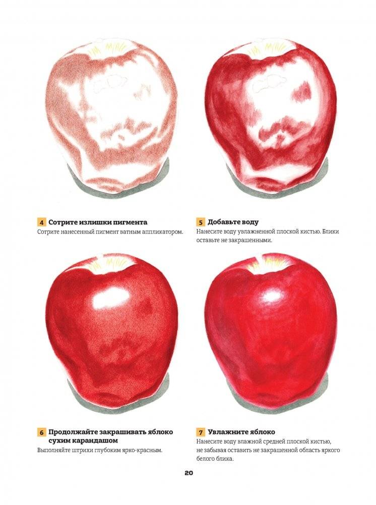 Рисуем реалистичные картины цветными карандашами. Пошаговые уроки. Школа художника фото книги 3