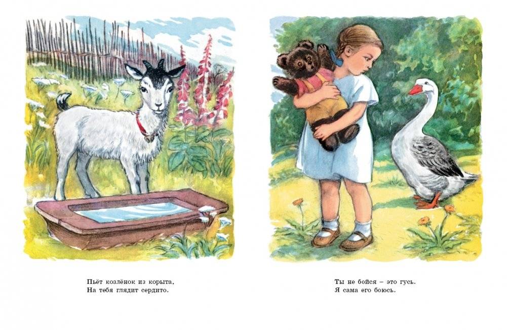 Мой мишка фото книги 3