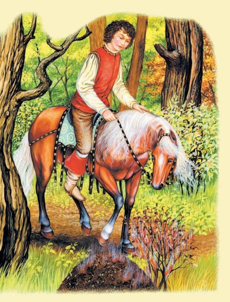 Сказки маленькой принцессы фото книги 9