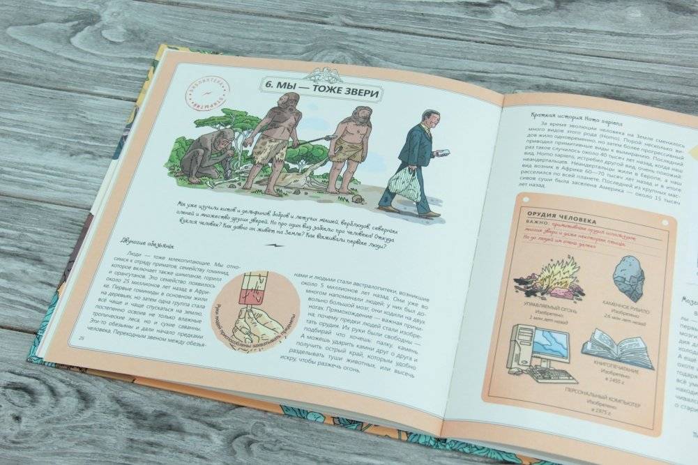 Животные фото книги 2