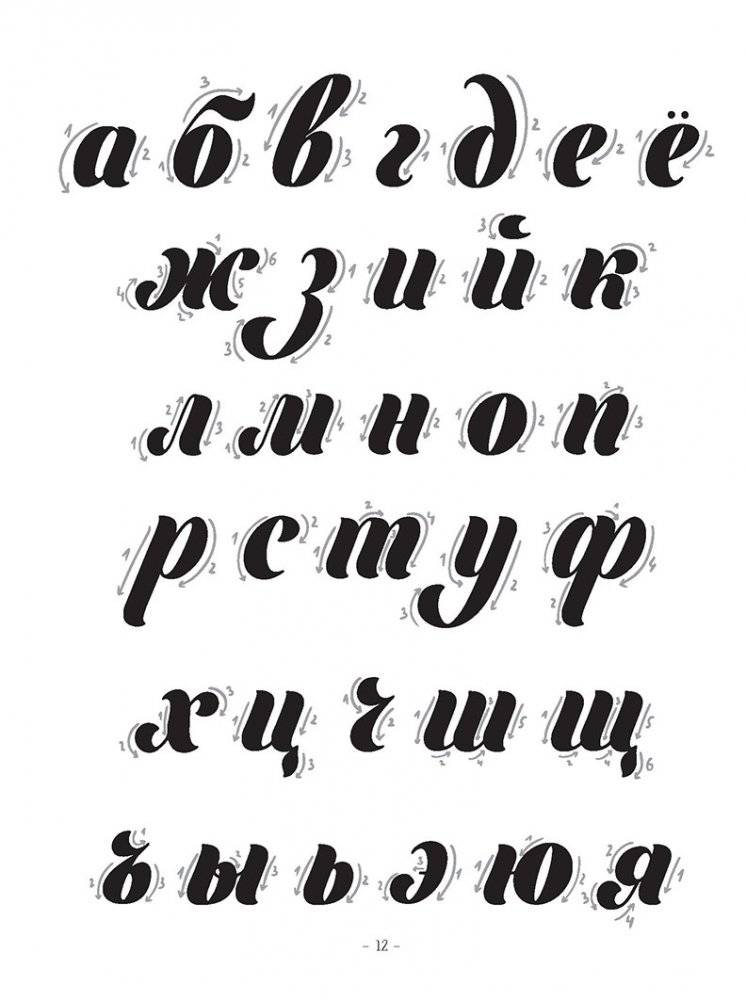 Тетрадь Леттерера. Прописи, шрифты, шаблоны для композиций фото книги 7