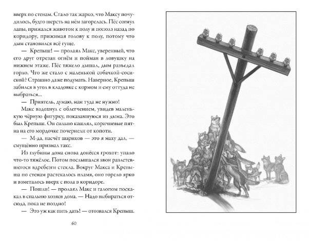 Верные. Книга 1. Когда исчезли все люди фото книги 4