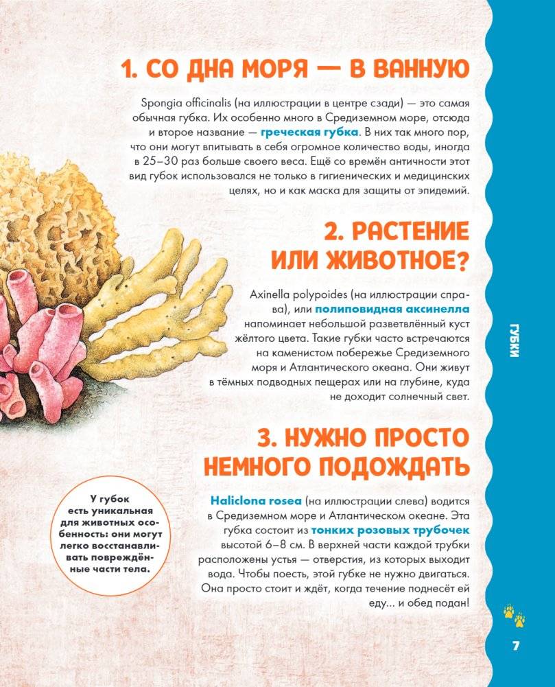 Животные фото книги 3