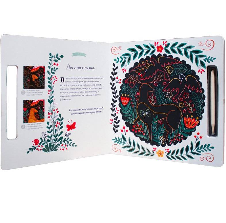 Секреты леса. Открой чудеса природы в 9-и удивительных скретч-картинках фото книги 2