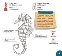 Подводный мир. Серия "Планета животных" фото книги 3