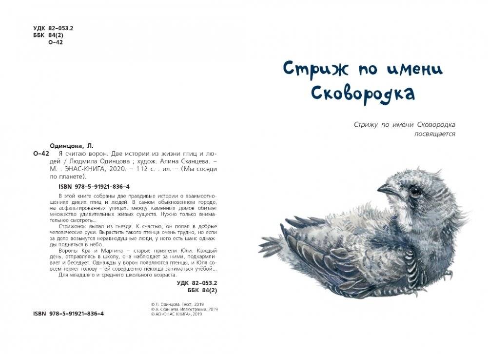 Я считаю ворон. Две истории из жизни птиц и людей фото книги 2