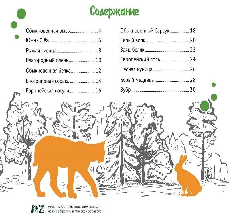 Белорусский лес. Серия «Планета животных» фото книги 2