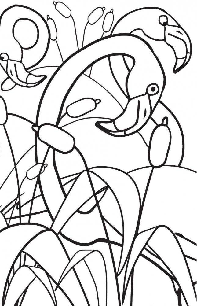 Удивительные животные. Мини-раскраска-антистресс для творчества и вдохновения фото книги 11