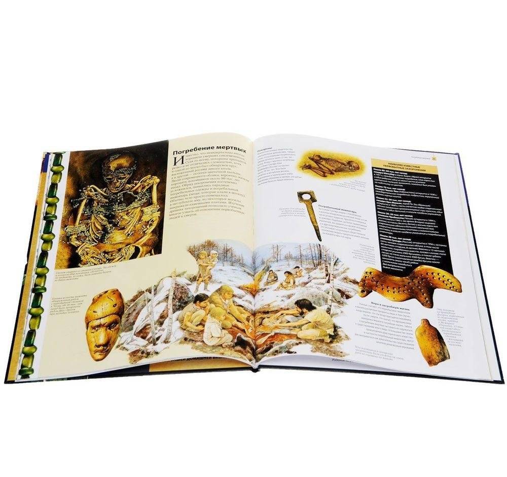 Начало Истории. От зарождения жизни до изобретения письменности фото книги 2