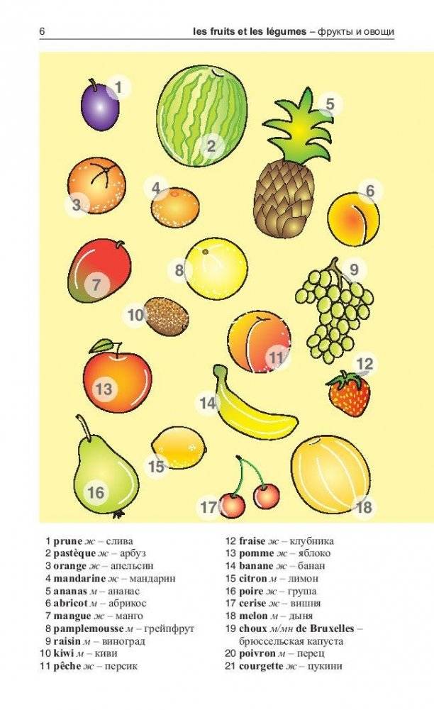 Французский язык в картинках. 500 самых употребительных слов на каждый день. Разговорник фото книги 2