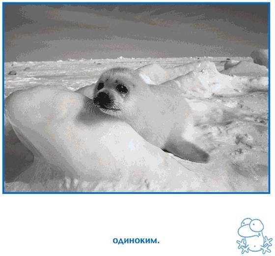 Когда тебе грустно... для детей фото книги 5