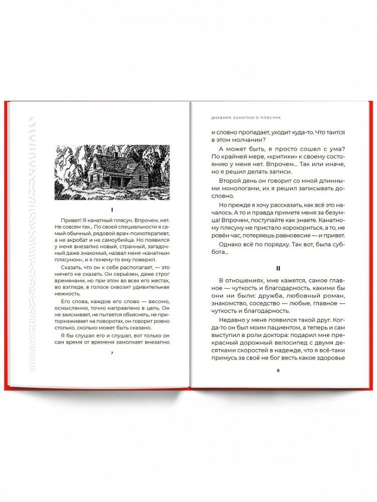 Дневник канатного плясуна фото книги 3
