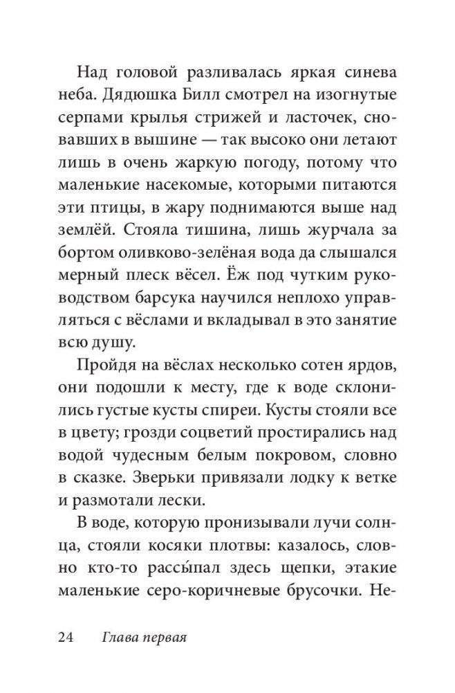 Билл Барсук и пираты. Книга 3 фото книги 22