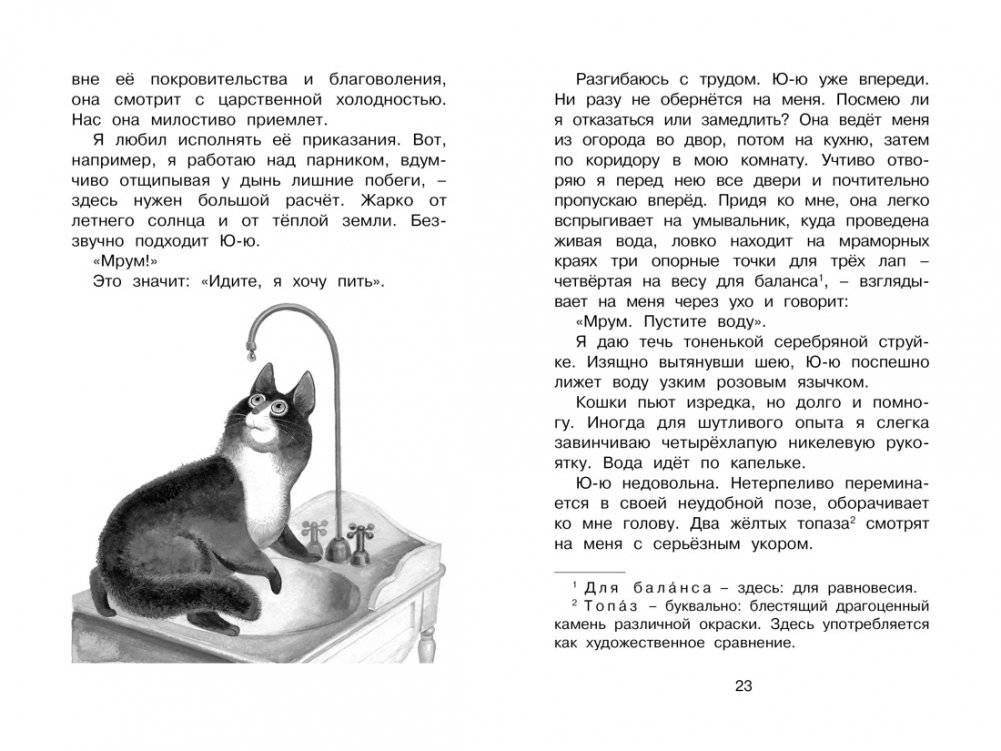 Белый пудель фото книги 3