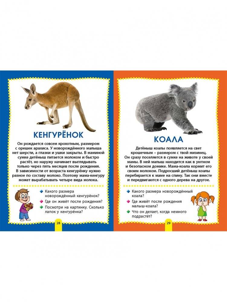 Детеныши животных. Фотокнига для самых маленьких фото книги 6