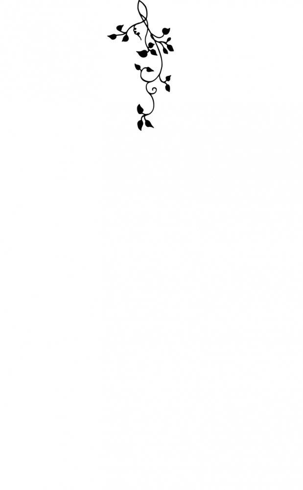 Магия воздуха (#3) фото книги 2