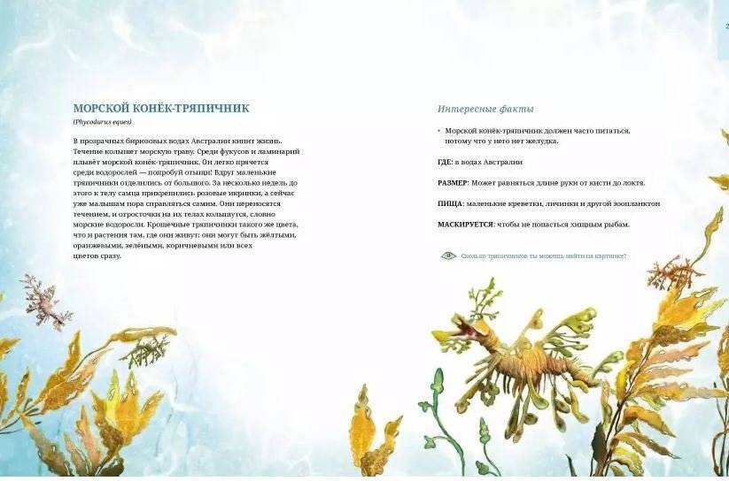 Животные-невидимки. Чудеса маскировки в дикой природе фото книги 5