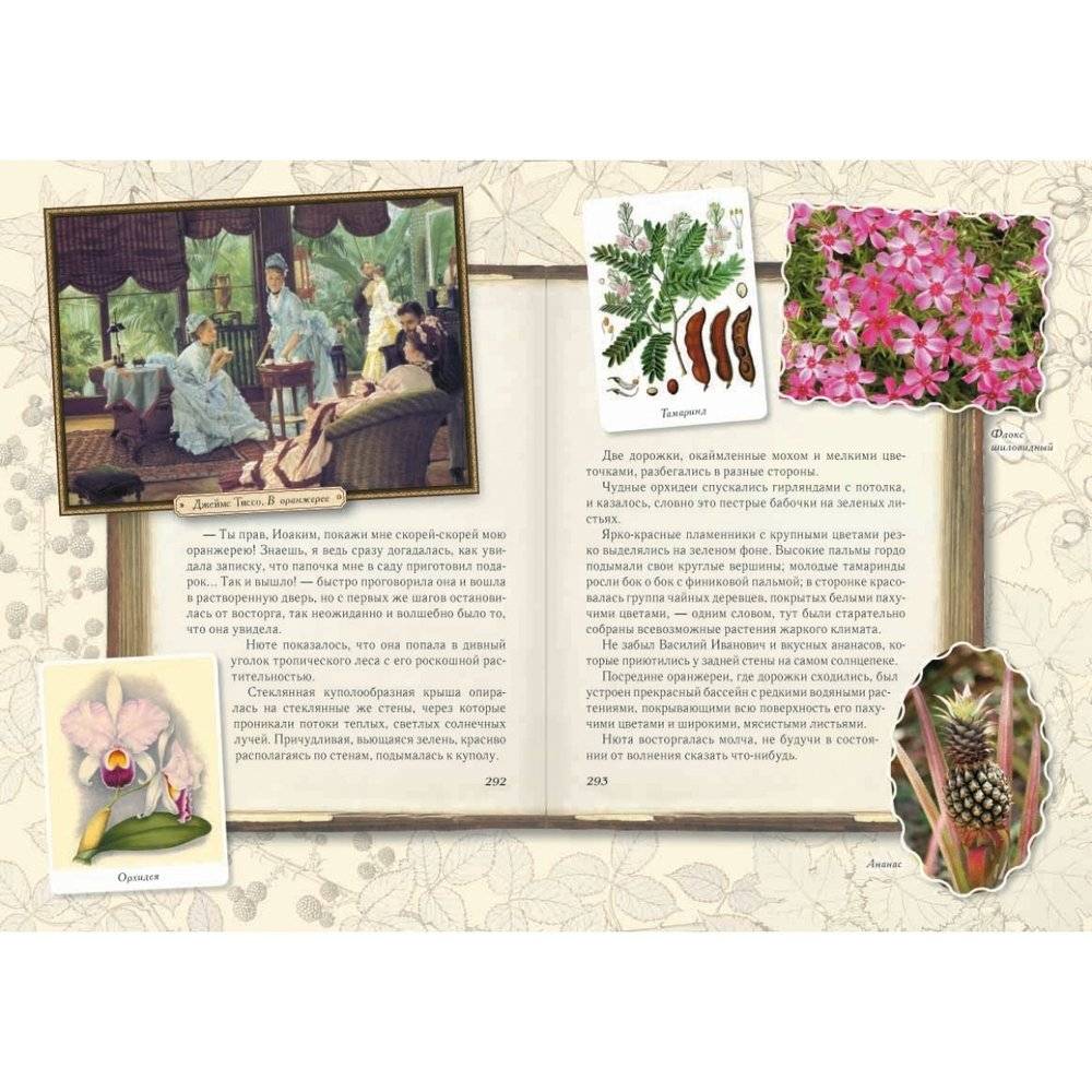 Среди цветов. Рассказы старого садовника фото книги 9