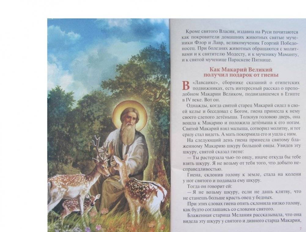 Можно ли муравью в храм входить? Занимательные рассказы для детей и родителей фото книги 4