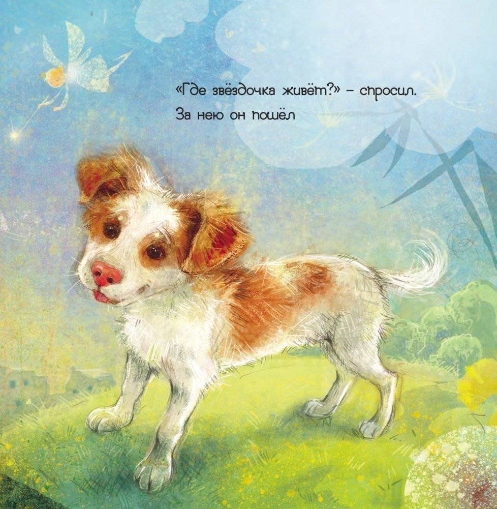 Пёс и звёздочка фото книги 5